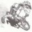 Dody71