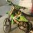 andrew73