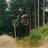 alby79