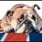 Bulldog71