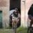 andrea68