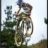 pulga dh