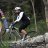 bikebikebikebike