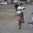 matte biker pacan