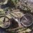 Stefano_cannondale