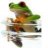 kermit