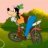 pipposport