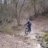 Bikerman64