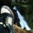 singletrack67