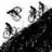 zio_xc