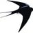 swallow
