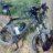 dalessandro andrea